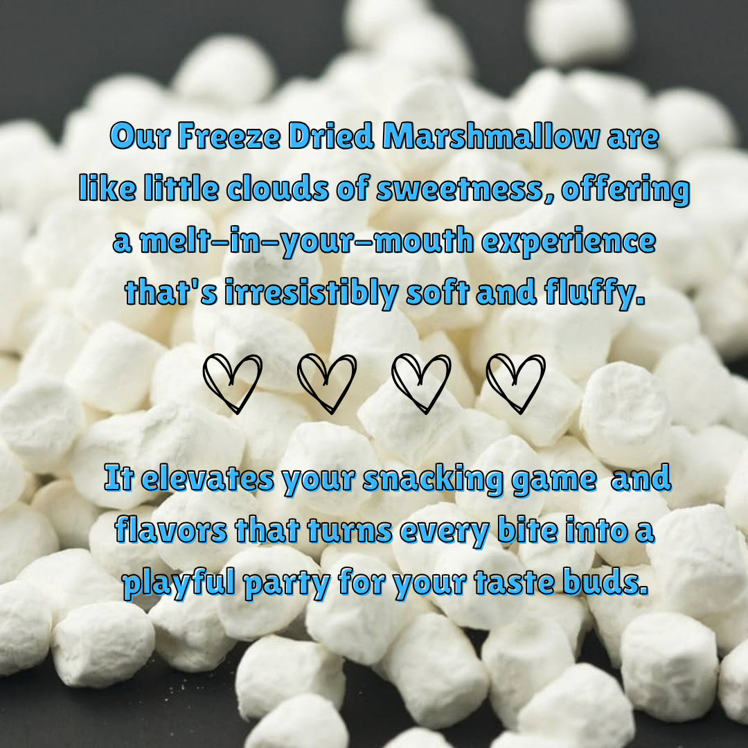 G-BOX Freeze Dried Marshmallows Mini 4 OZ in Air Tight Container