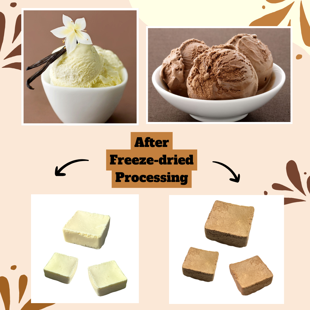 G-BOX FREEZE DRIED ICE CREAM CUBES (CHOCOLATE)