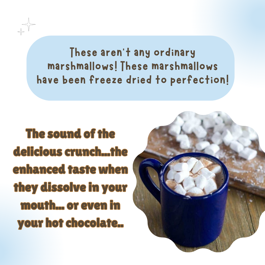 G-BOX Freeze Dried Marshmallows Mini 4 OZ in Air Tight Container