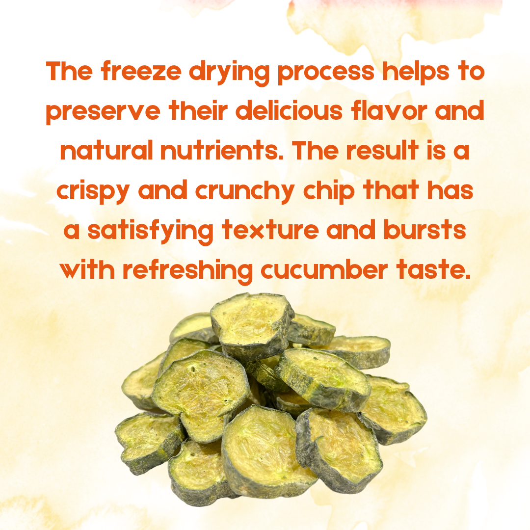 G-BOX Freeze Dried Cucumbers, Freeze Dried Veggies & Ranch Snack - Healthy Freeze Dried Food, Veggie Chips, Ideal Emergency Food, TikTok Trend Item