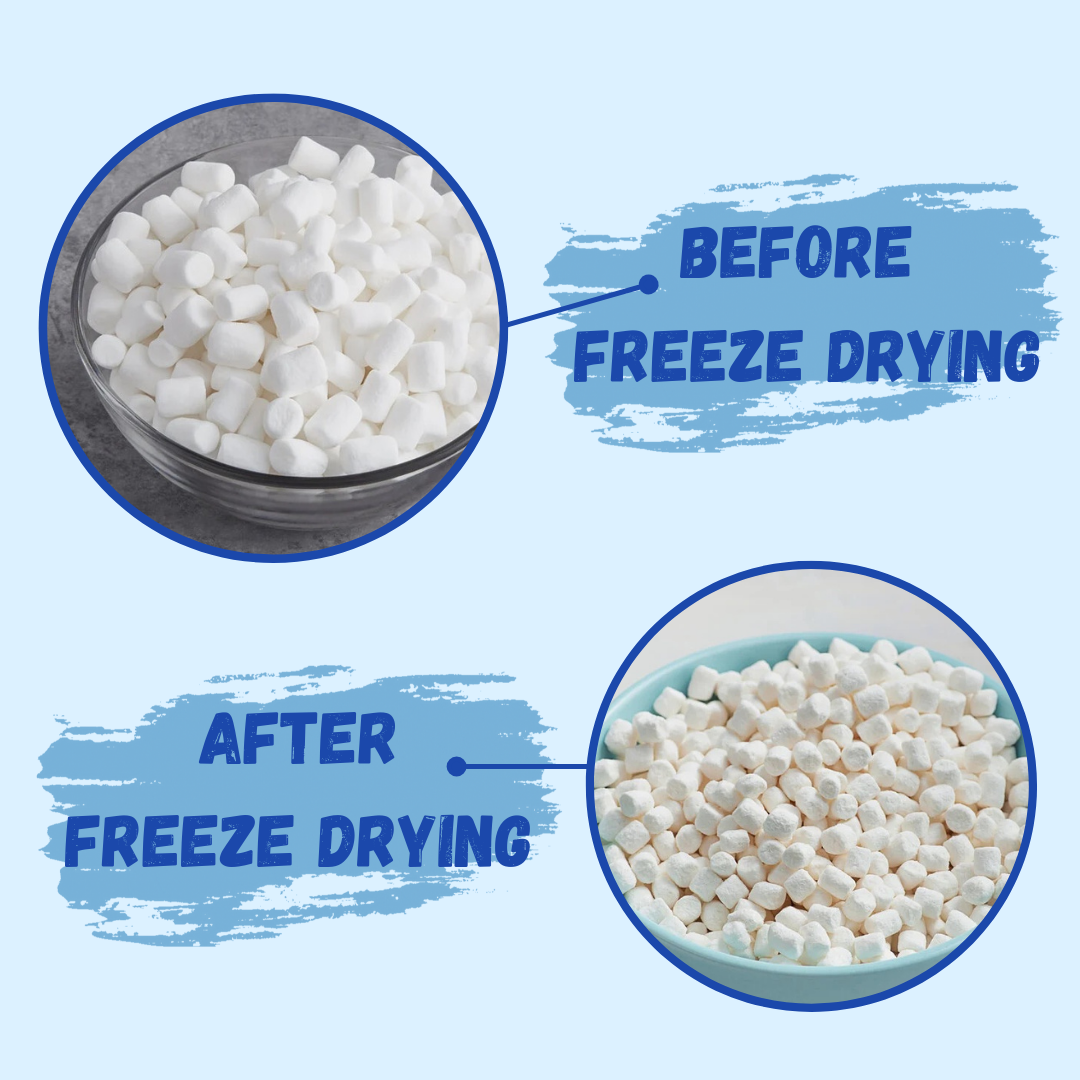 G-BOX Freeze Dried Marshmallows Mini 4 OZ in Air Tight Container