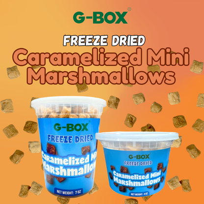 G-BOX Freeze Dried Caramelized Marshmallows Mini in Air Tight Container Freeze Dried Marshmallows Freeze Dried Candy Freeze Dried Mini Marshmallows