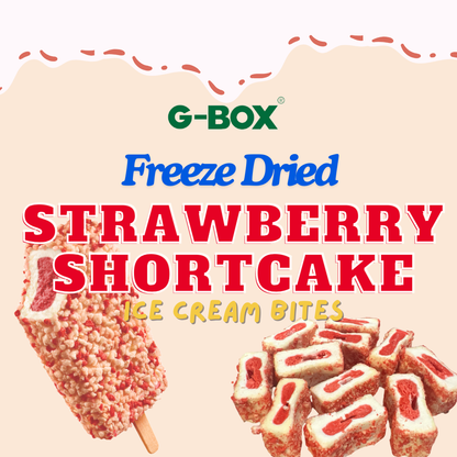 G-BOX Freeze Dried Ice Cream| Crunch Strawberry Shortcake Ice Cream Bites - Perfect for Camping, Outdoor, and Party - Air-tight Sealed in a Deli Container