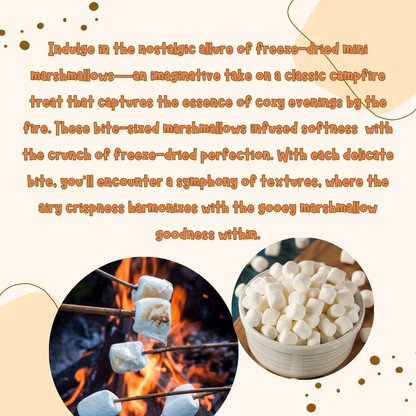 G-BOX Freeze Dried Caramelized Marshmallows Mini in Air Tight Container Freeze Dried Marshmallows Freeze Dried Candy Freeze Dried Mini Marshmallows