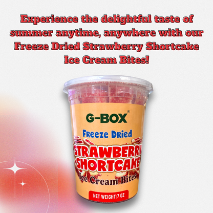 G-BOX Freeze Dried Ice Cream| Crunch Strawberry Shortcake Ice Cream Bites - Perfect for Camping, Outdoor, and Party - Air-tight Sealed in a Deli Container