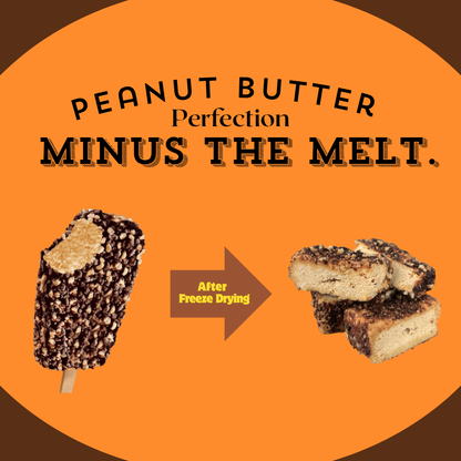 G-BOX FREESES - FREEZE DRIED PEANUT BUTTER ICE CREAM