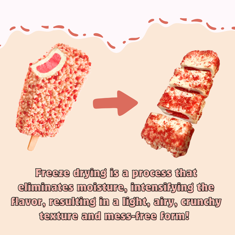 G-BOX FREEZE DRIED STRAWBERRY SHORTCAKE ICE CREAM BITES