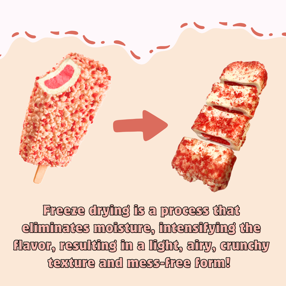 G-BOX FREEZE DRIED STRAWBERRY SHORTCAKE ICE CREAM BITES