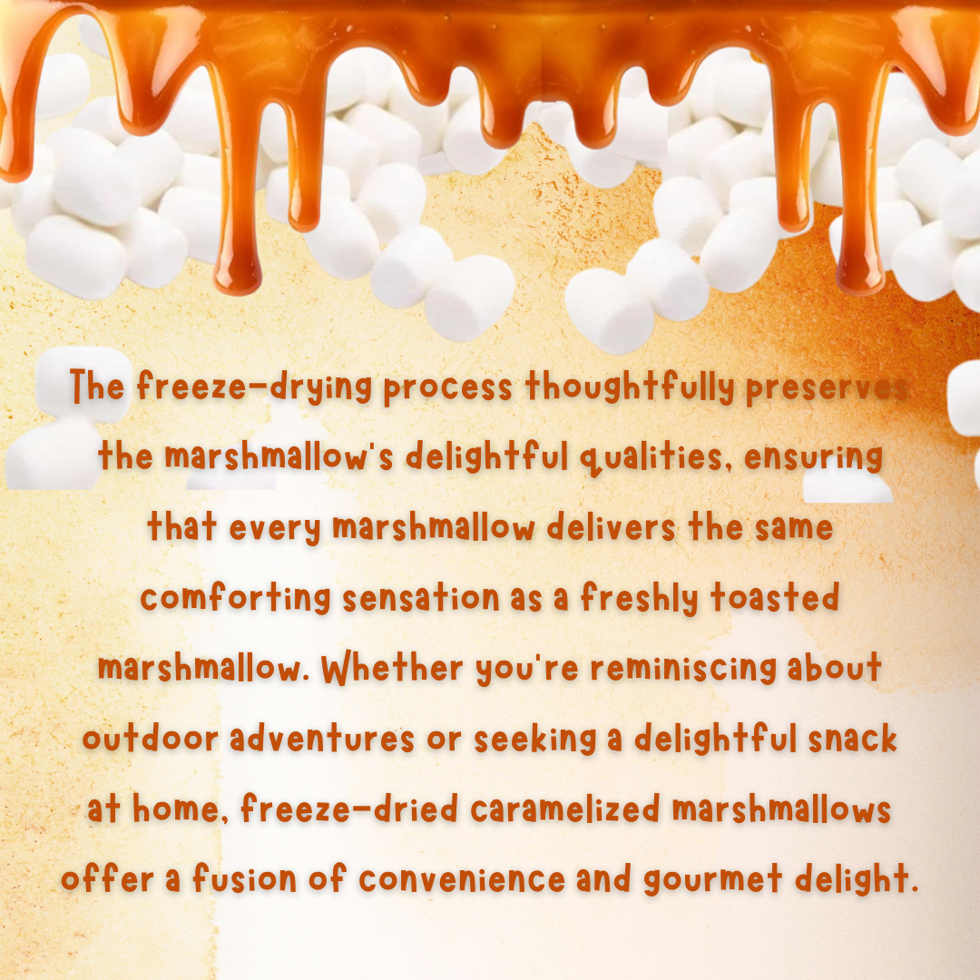 G-BOX FREEZE DRIED CARAMELIZED MINI MARSHMALLOWS
