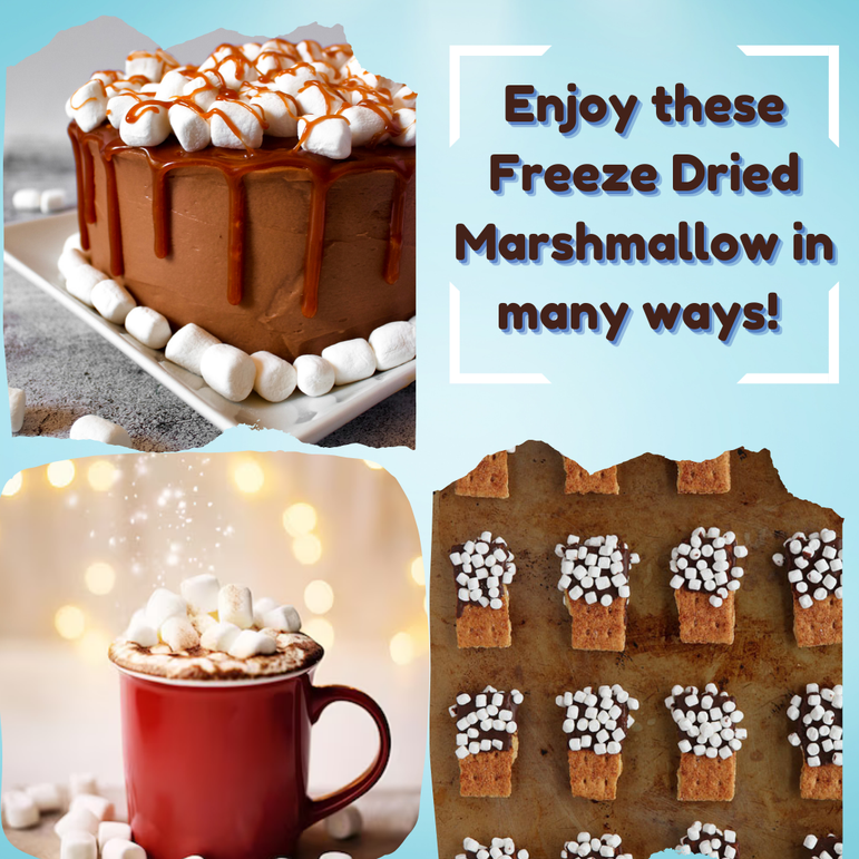 G-BOX FREEZE DRIED MARSHMALLOWS